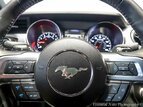 Thumbnail Photo 15 for 2021 Ford Mustang GT